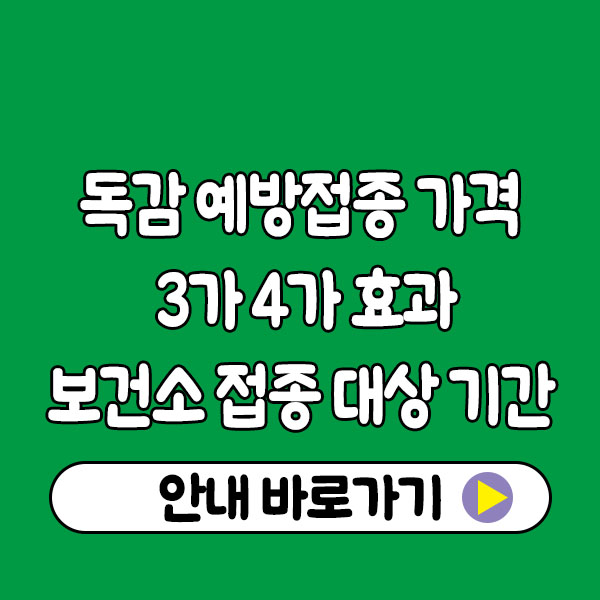 독감 예방접종 가격 비용 3가 4가 효과 및 보건소 접종 대상 기간