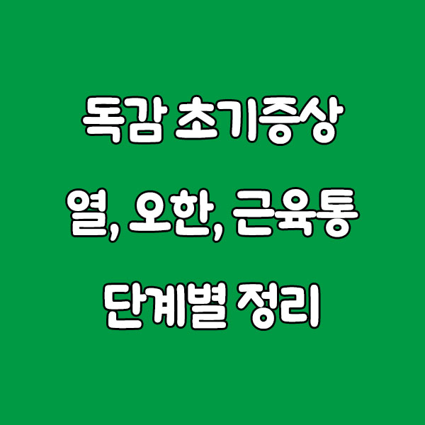 독감 초기증상 이렇게 나타납니다|열·오한·근육통 단계별 정리 early flu symptoms