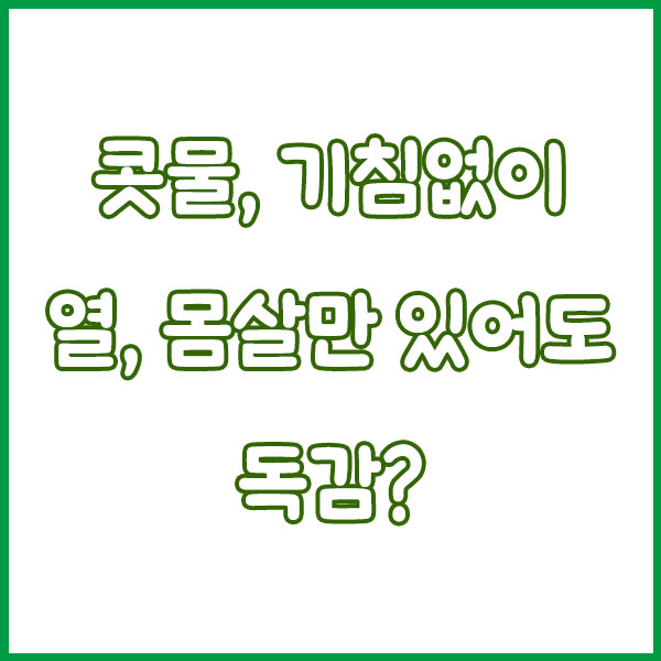 독감 초기증상 이렇게 나타납니다|열·오한·근육통 단계별 정리 early flu symptoms