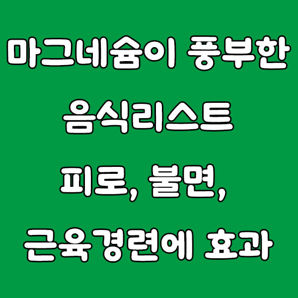 마그네슘이 풍부한 음식 리스트 총정리: 피로, 불면, 근육 경련을 막는 자연 영양소