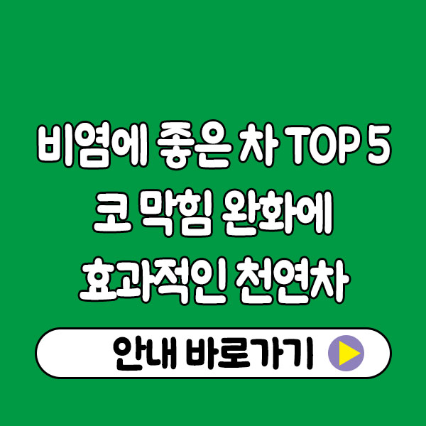 비염에 좋은 차 TOP 5｜코 막힘 완화에 효과적인 천연 차 추천