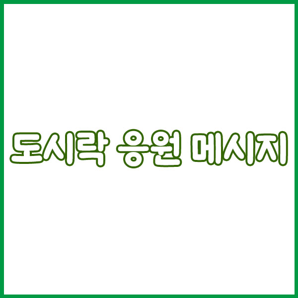 2025 수능 도시락 메뉴 추천 – 소화 잘되고 든든한 구성 총정리!