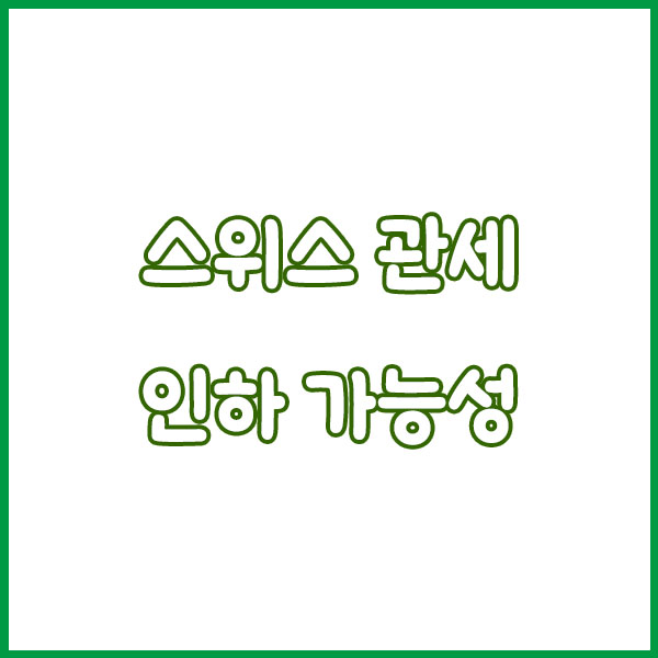 스위스 39% 관세 낮추나… Swatch, Richemont 주가 급등