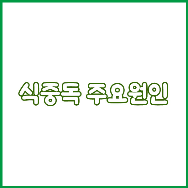 식중독 예방 음식 총정리 - 예방방법 · 원인 · 여름철 대비 가이드 food poisoning prevention