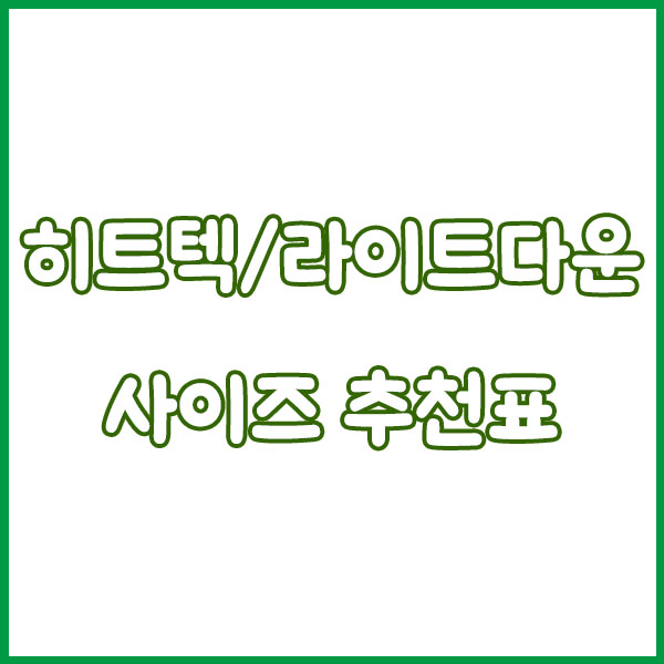 2025 유니클로 11월 세일 - 기간? 언제?