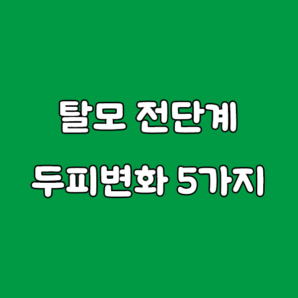 탈모 전단계일 수 있는 두피 변화 5가지: 미리 알아야 막을 수 있다!
