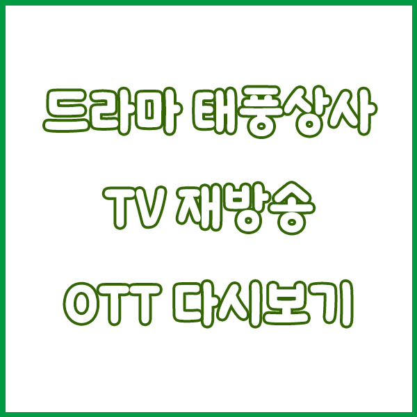 드라마 태풍상사 총정리 (몇부작 출연진 기본정보 방송시간 작가 재방송 원작 시청률 등장인물) typhoonfamily